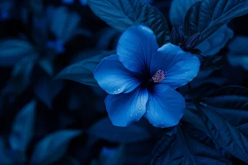 Wandcirkels aluminium blue flower on dark background © StockUp