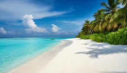 Fototapeta na wymiar beautiful beaches in the maldives