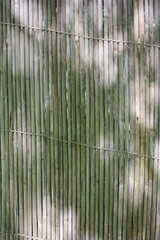 A full frame view of a bamboo fence.