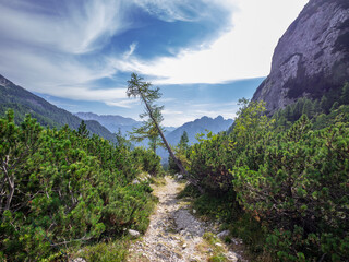 The landscape in Alps,  Slovenia - 741905537