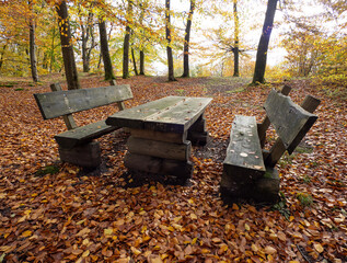 bench and table in autumn forest - 741906121