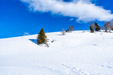 Winter landscape with snow covered Dolomites in Kronplatz, Italy