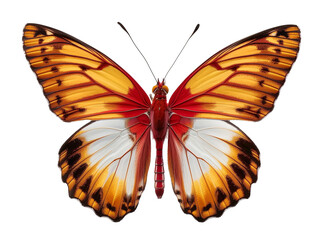 Fototapeta premium Majestic red and orange butterfly on transparent background isolated