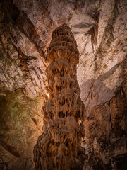 The cave Postojna Cave in Slovenia.