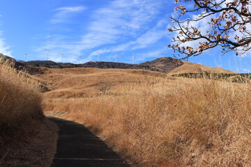 稲取細野高原すすき野原、三筋山