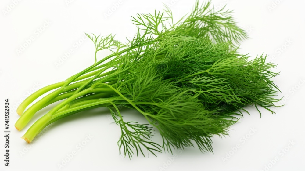 Poster close-up realistic photo showcasing three aromatic, fresh dill leaves on a white background generati
