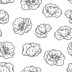 Pattern with poppies flowers. Beautiful decorative plants.