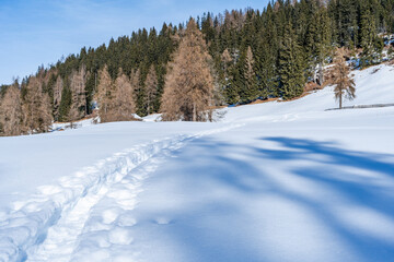 Winter landscape with snow covered Dolomites in Kronplatz, Italy