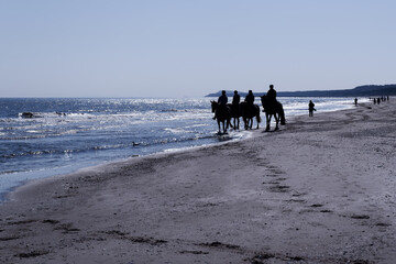 Group of people riding horses on the beach against clear sky - 741940703