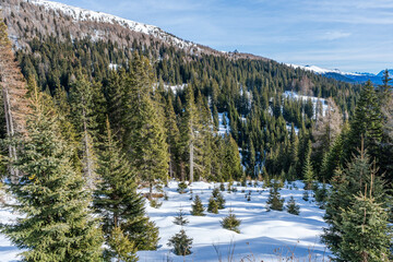 Winter landscape with snow covered Dolomites in Kronplatz, Italy