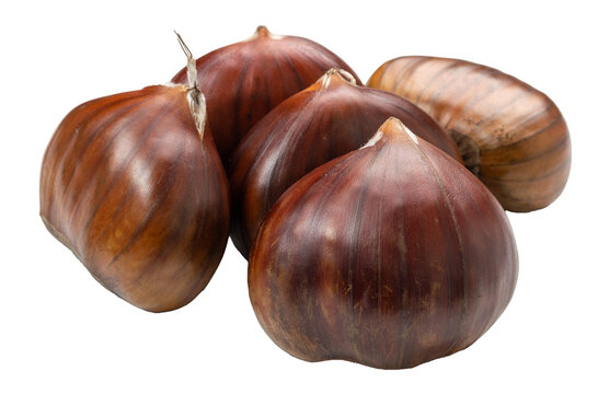 Edible Sweet Chestnuts, Healthy Autumn and Christmas Food
