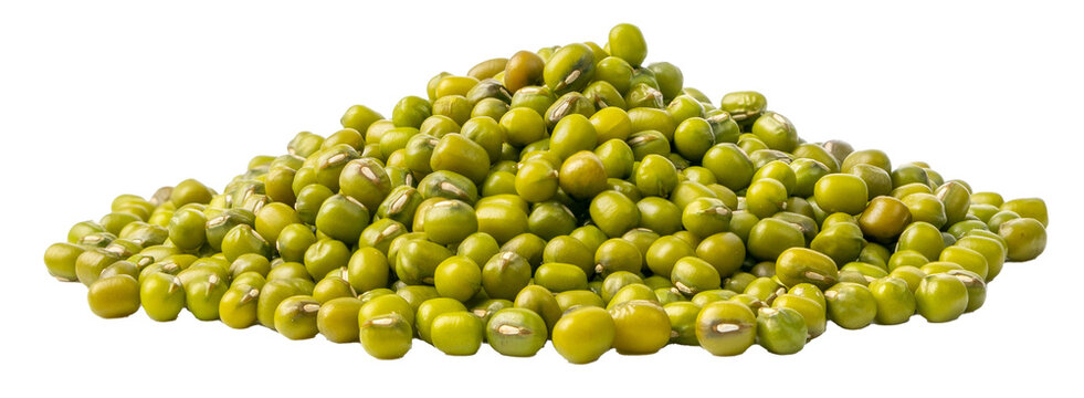 Dry Raw Mung Beans, Vigna Radiata Seeds, Green Gram, Maash or Moong