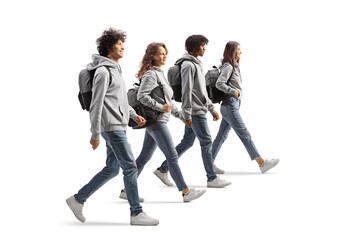 Group of male and female students walking together