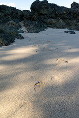 Paseo a islas y playas de Pixvae al sur de Veraguas