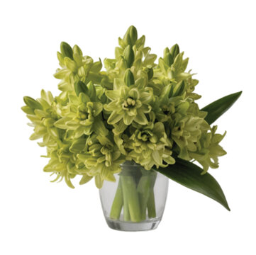 bouquet of hyacinth  flowers in a vase