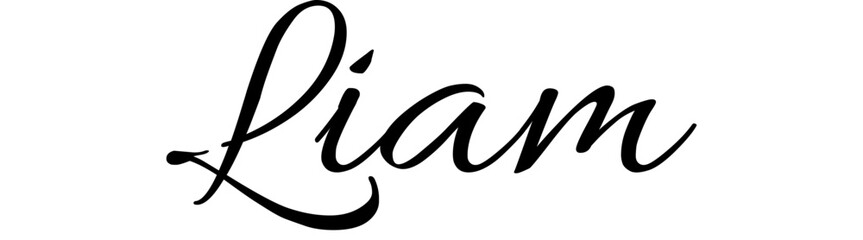 Liam - black color - name written - ideal for websites,, presentations, greetings, banners, cards,, t-shirt, sweatshirt, prints, cricut, silhouette, sublimation	 - obrazy, fototapety, plakaty