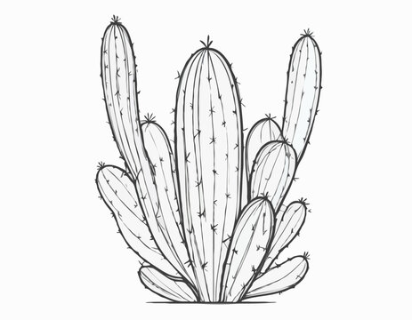 recommend clip art: Green cactus leaf nopales 
                    