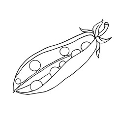 Linear sketch, outline, coloring of a green pea pod. Vector graphics.