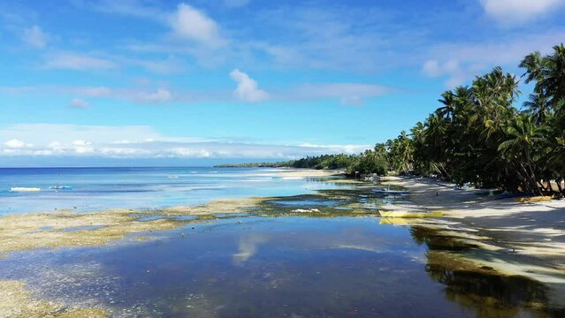The sandy beaches and green palm trees of Siquijor Island , Asia, Philippines, Bohol Island, near Panglao, in summer on a sunny day.