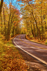 Fototapeta premium Autumn Splendor on a Forest Road, Keweenaw Peninsula Michigan