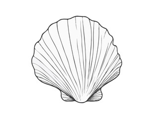 Seashell vector illustration. Abstract boho sketch doodle style. Illustrations for menu, seafood restaurant design, resort hotel spa, surf boards. Wall Art Print, t shirt, phone case
