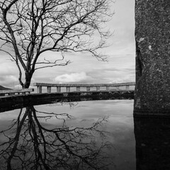 Asturias Riodeporcos and surroundings
