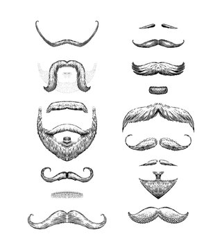 A set of moustache and beards on a white background. Hipster and retro barber or hairdresser. Engraved hand drawn in old sketch, vintage style for packaging and signage.