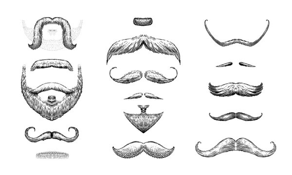 A set of moustache and beards on a white background. Hipster and retro barber or hairdresser. Engraved hand drawn in old sketch, vintage style for packaging and signage.