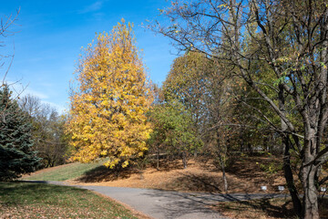 Autumn view of South Park in city of Sofia, Bulgaria