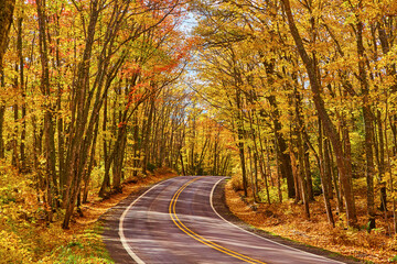 Obraz premium Autumn Forest Road in Keweenaw - Vibrant Fall Foliage Perspective