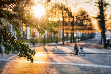 pine tree branches on the foreground and sun light beams over the lange voorhout avenue in parisian...
