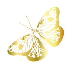 Decorative, winged insect of a golden butterfly. Vector graphics.