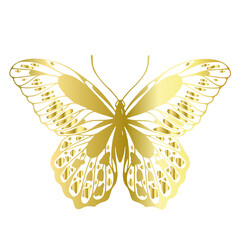 Decorative, winged insect of a golden butterfly. Vector graphics.