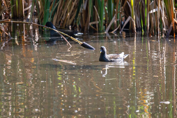 Autumn view of South Park in city of Sofia, Bulgaria