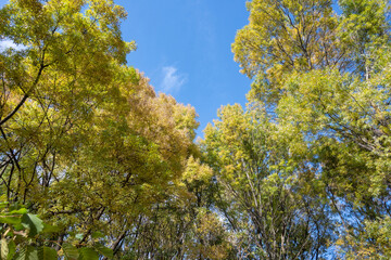 Autumn view of South Park in city of Sofia, Bulgaria