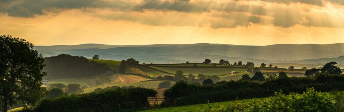 Panorama of Torquay Fields in the rays of the setting sun, Devon, England, United Kingdom, Europe