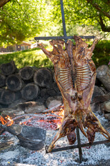 Patagonian Lamb Cross, classic way of cooking lamb in Argentina by the gauchos.