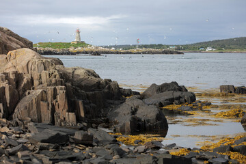 Beach view in Nova Scotia