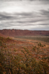 Lush Foreground Outside in Desert Open Area Cloudy Skies St. George Utah