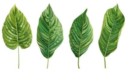 collection of green leaves, in the style of exotic realism, multiple patterns, white background