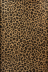Simple Cheetah Print 