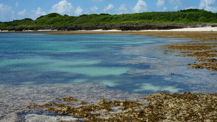 黒島の引き潮、透明感のある海