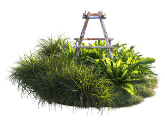 Various types of grass bushes shrub and small plants with tree support pole isolated