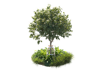  tree with tree support pole surrounded by grass bushes shrub and small plants isolated