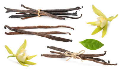 Vanilla pods and yellow flowers isolated on white, set