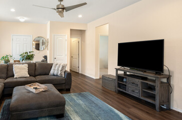 a home living room 