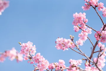 Fleecedeken met foto 青空と早咲きの河津桜 © 963k