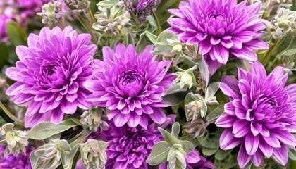 Obraz premium Majestic Bouquet of Flower in Purple and Sage Green Color tan