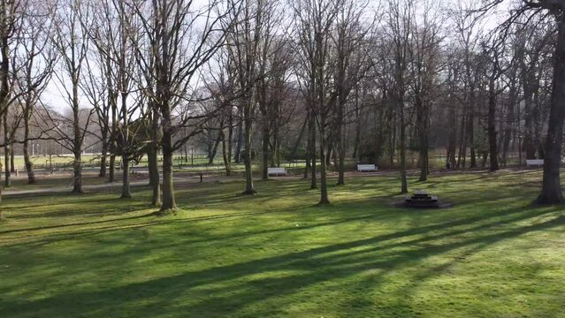 Drone footage: Flying parallel to treeline, autumn, Ockenburgh Park, The Hague
