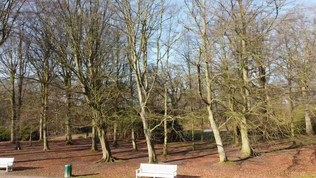 Drone footage: Flying parallel to treeline, autumn, Ockenburgh Park, The Hague